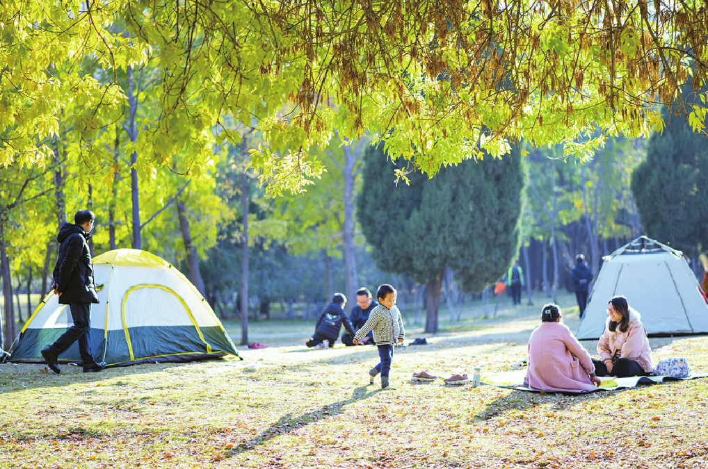 济南市发布公园绿地开放共享技术指南 从“赏绿”到“享绿”与自然“零距离”