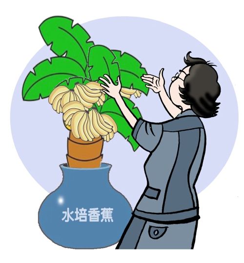 “蕉绿”走红的背后是什么