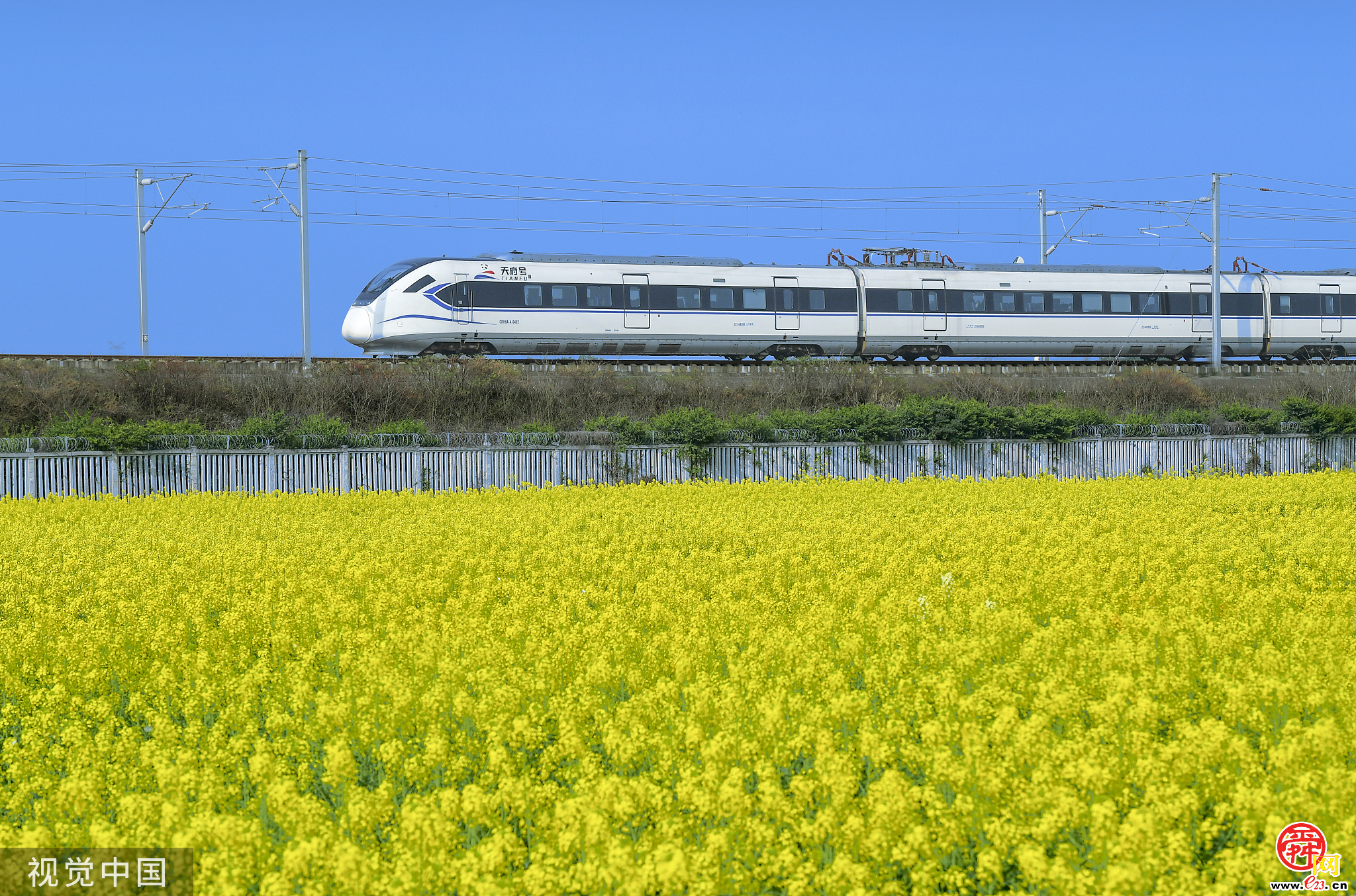 好city！上海高温外滩游客仍人山人海 夏日旅游消费热