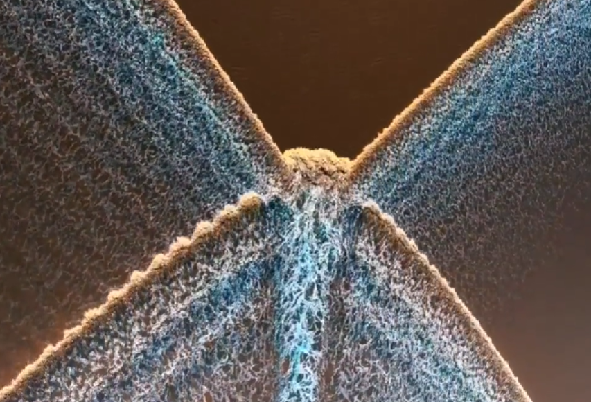 心情belike！钱塘江惊现罕见的“蝴蝶潮” 好运滚滚来～