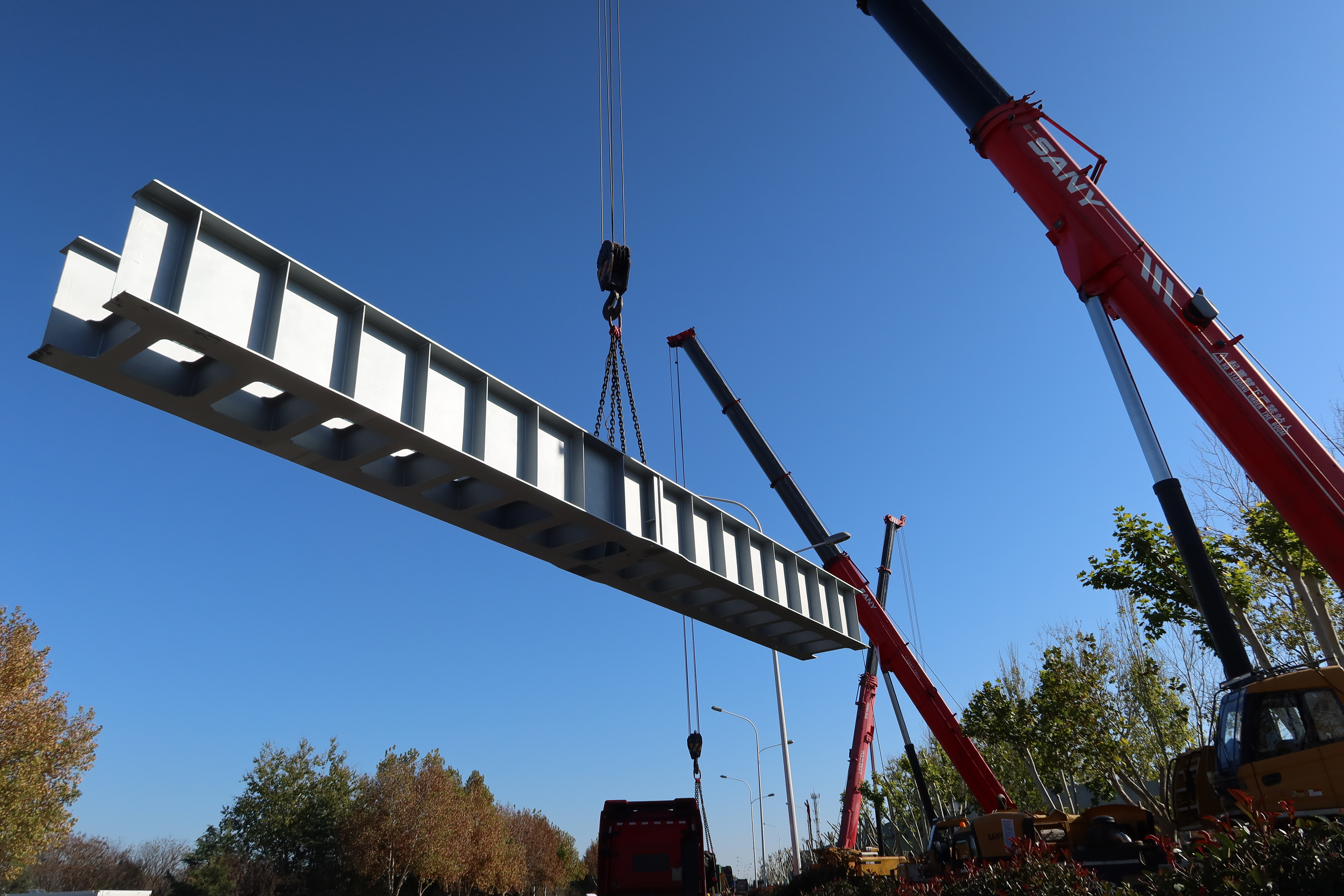 融媒·见证丨车在绿中行，人在画中游——“云巴”与法桐的约定