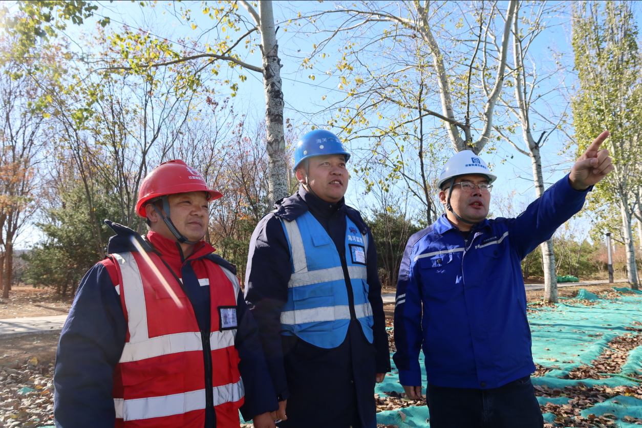 融媒·见证丨车在绿中行，人在画中游——“云巴”与法桐的约定