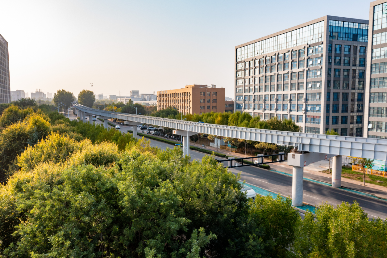 融媒·见证丨车在绿中行，人在画中游——“云巴”与法桐的约定