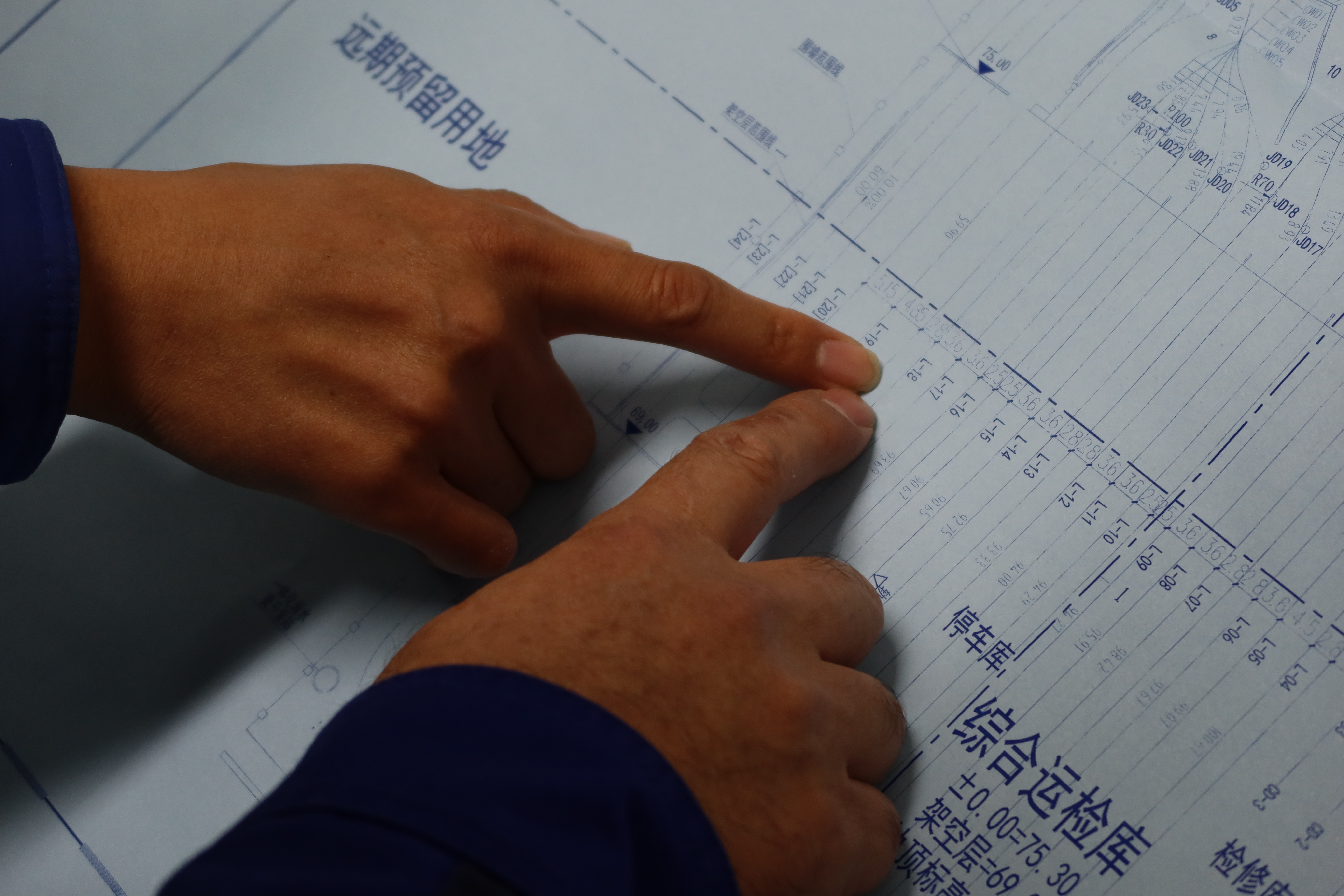 融媒·见证丨车在绿中行，人在画中游——“云巴”与法桐的约定