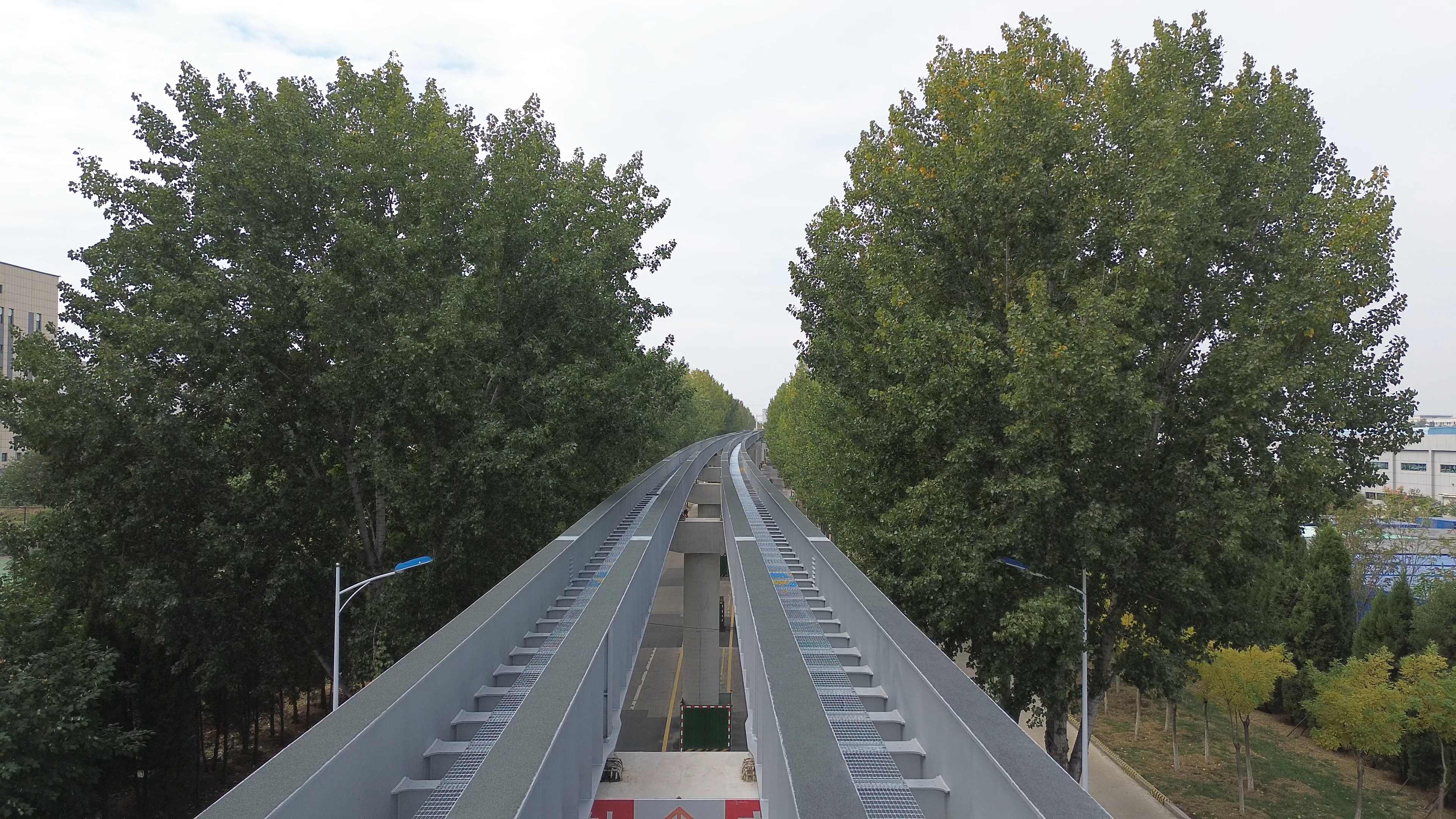 融媒·见证丨车在绿中行，人在画中游——“云巴”与法桐的约定