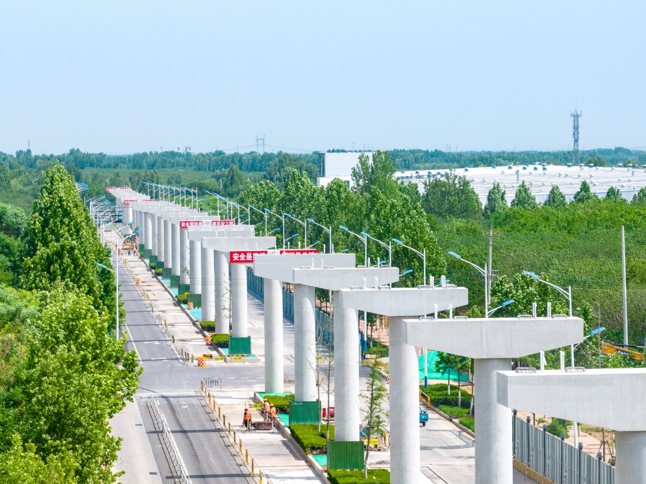 融媒·见证丨车在绿中行，人在画中游——“云巴”与法桐的约定