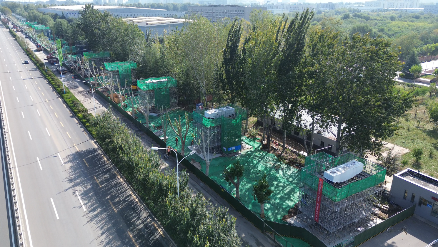 融媒·见证丨车在绿中行，人在画中游——“云巴”与法桐的约定