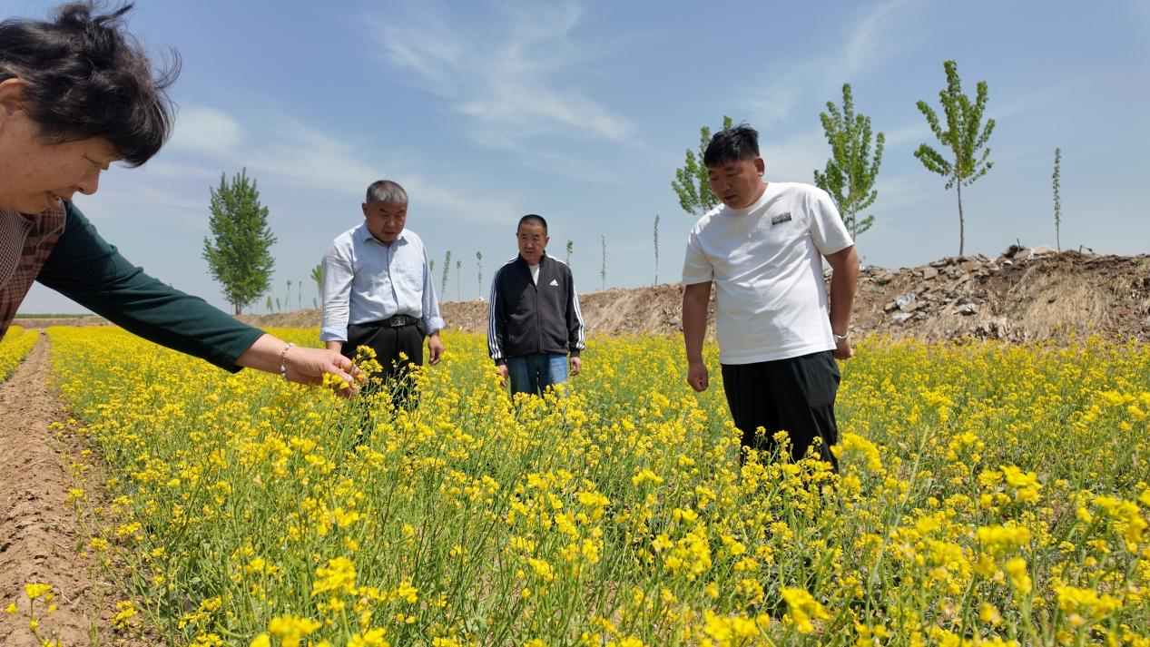 融媒·见证丨“土地里刨食儿”的村庄咋转型?书记变身“新农人”