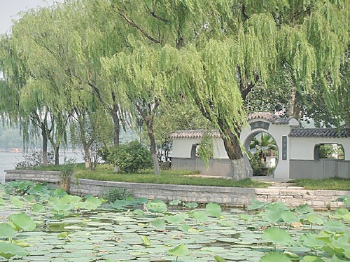 泉声棋韵汇泉寺