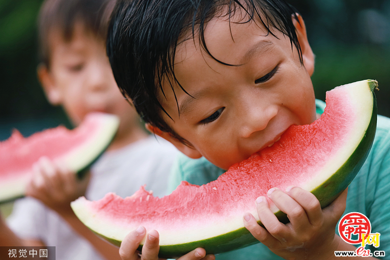 夏至｜蝉鸣半夏生 忽觉夏日长