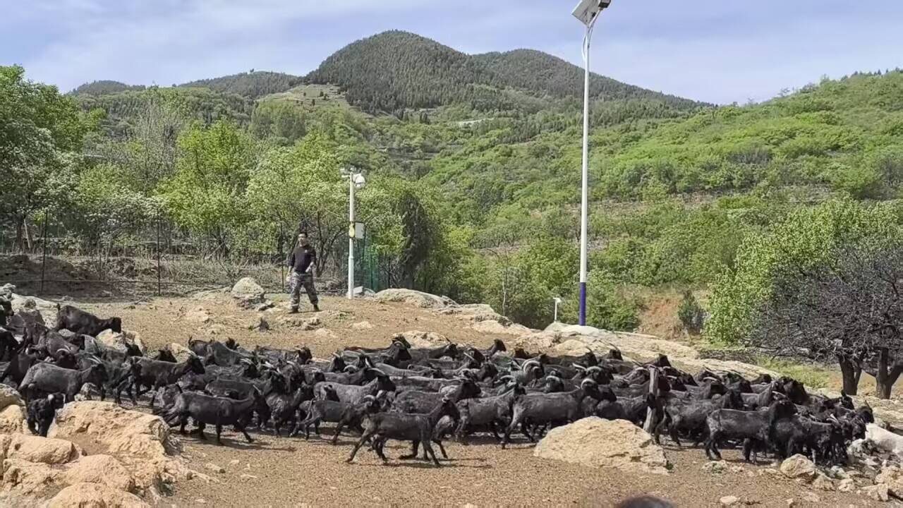 融媒·先锋丨“东风”拂村，“活水”润田！“借”出来的新天地