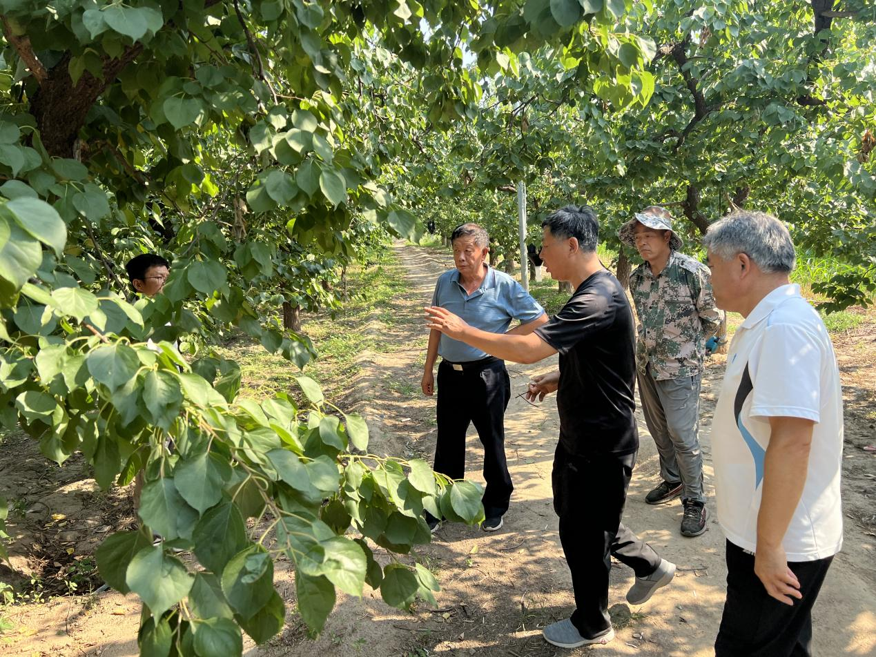 融媒·见证丨俯身“虫海”十三载：抵御外来入侵生物，编织林业保护防线