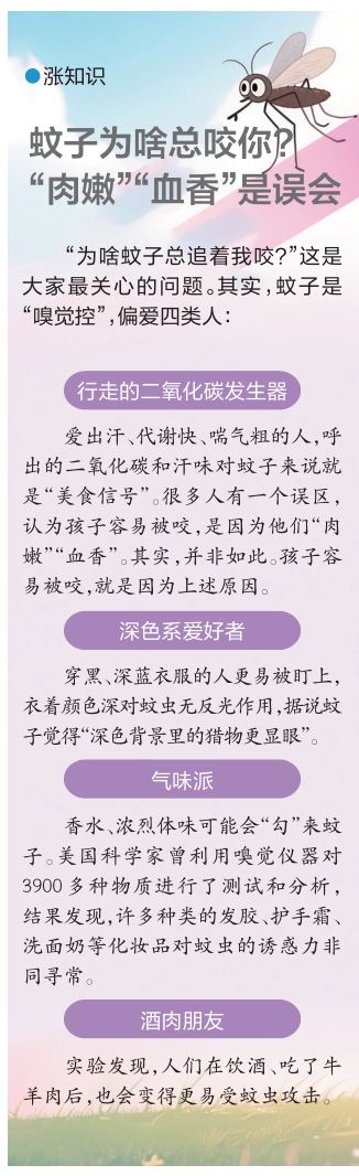 有的白天嚣张，有的摸黑下手 揭秘济南蚊子界的“江湖规矩”