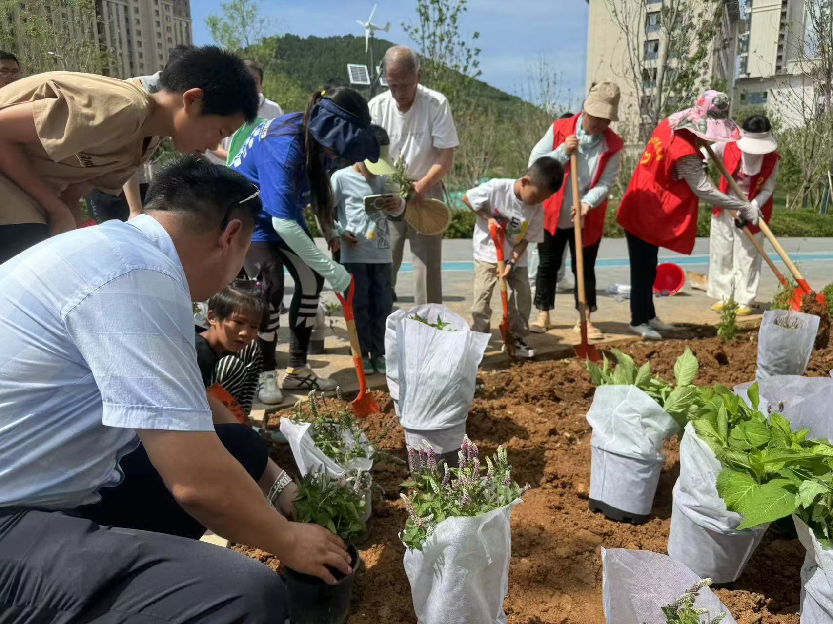 融媒·先锋丨众手栽花为谁开：一群人，在“方寸之地”探索“街角美学”