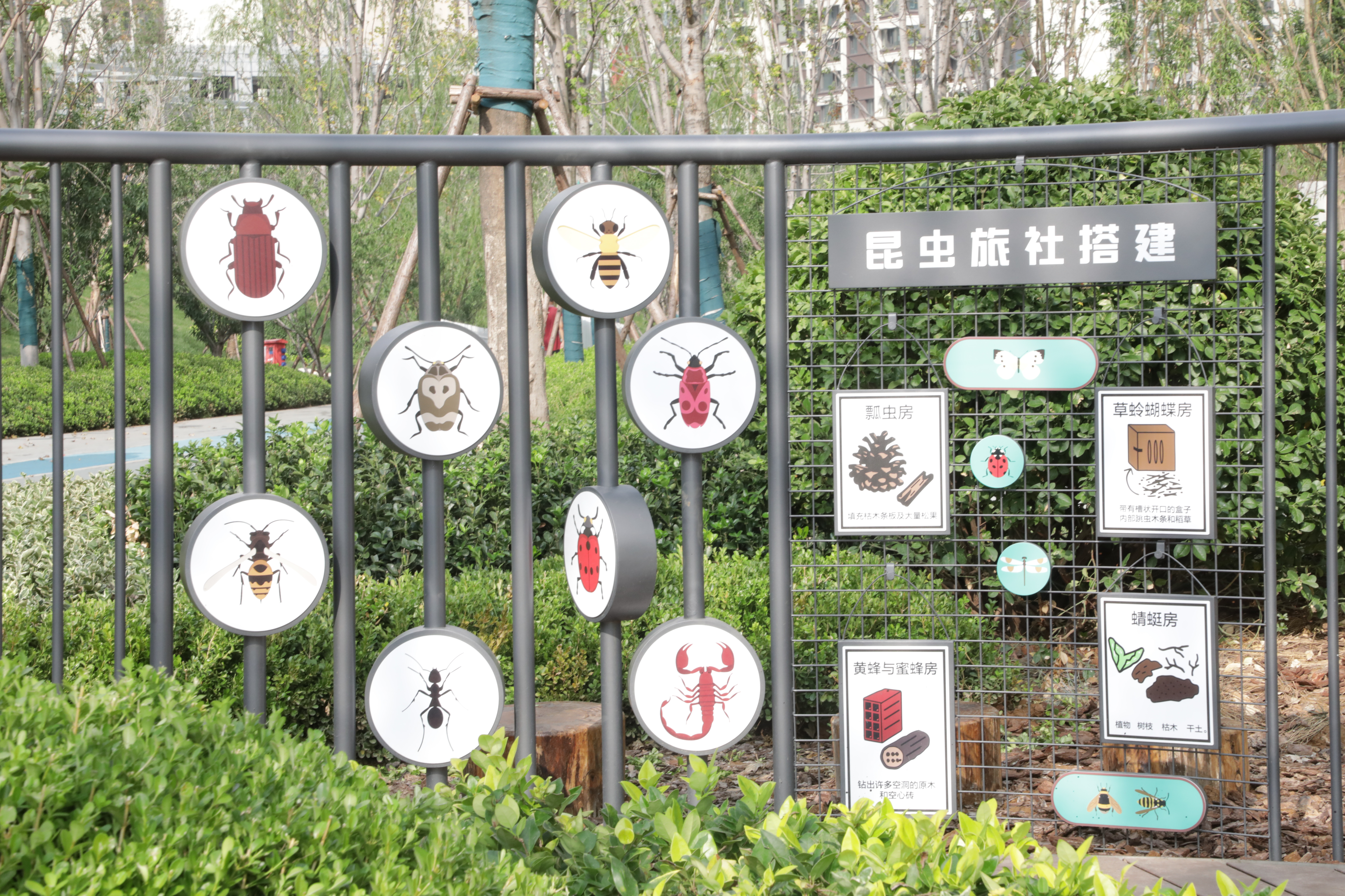 融媒·先锋丨众手栽花为谁开：一群人，在“方寸之地”探索“街角美学”