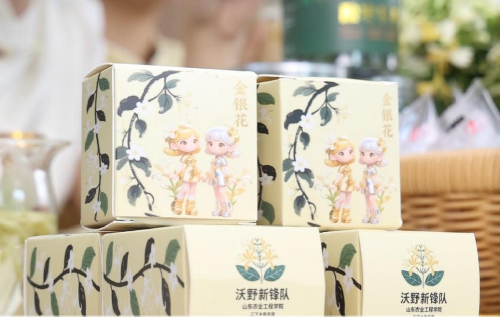 2025年暑期“三下乡”社会实践