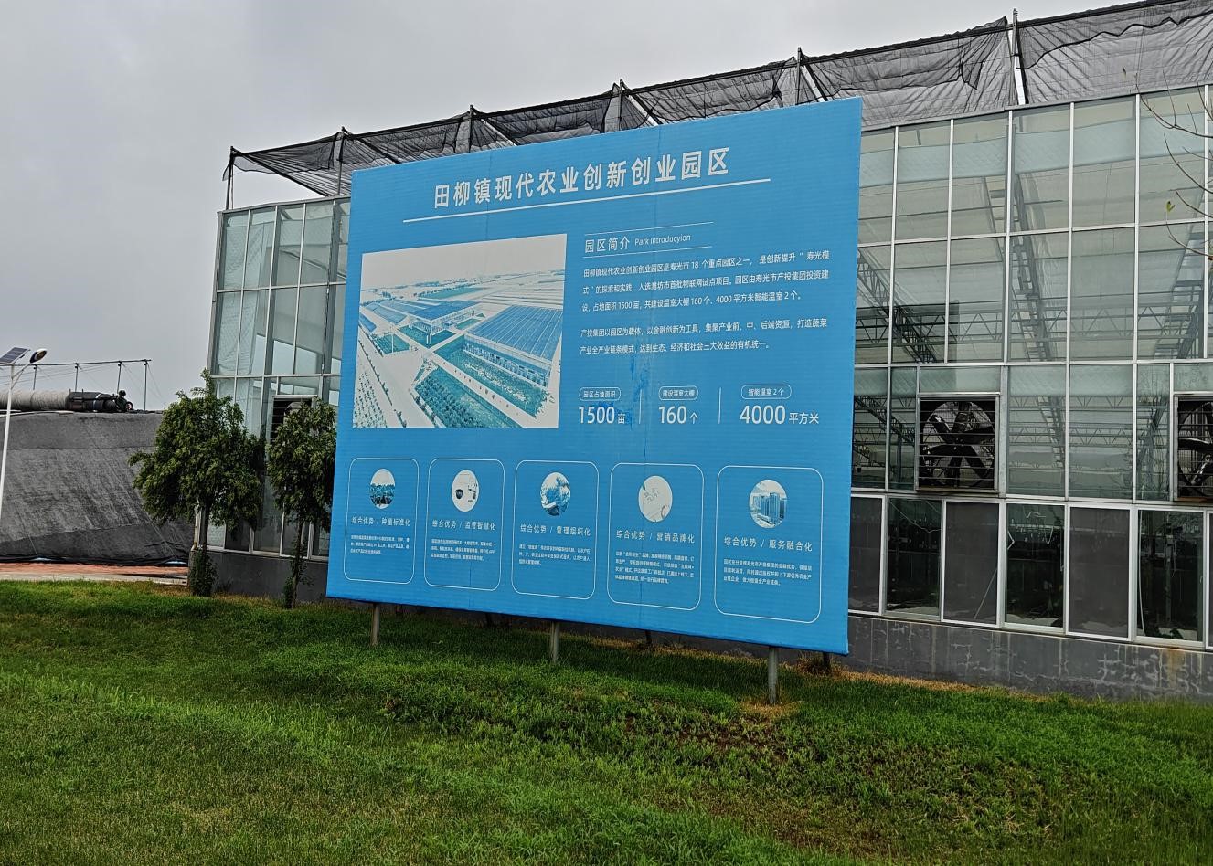山东农业工程学院新农擎炬·县域先锋实践团开展暑期“三下乡”活动