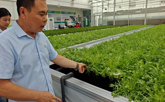 山东农业工程学院新农擎炬·县域先锋实践团开展暑期“三下乡”活动