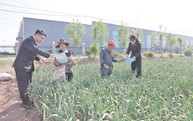 孙集法庭创新工作机制推动纠纷前端化解——法治助力蒜乡发展提速增效
