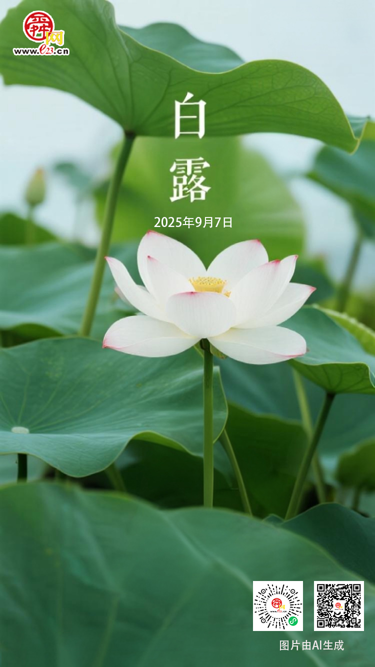 二十四节气 白露｜秋风渐起，凉意渐浓