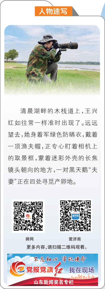 融媒·画像丨镜头为笔，山水为卷——王兴红和她的鸟界连续剧