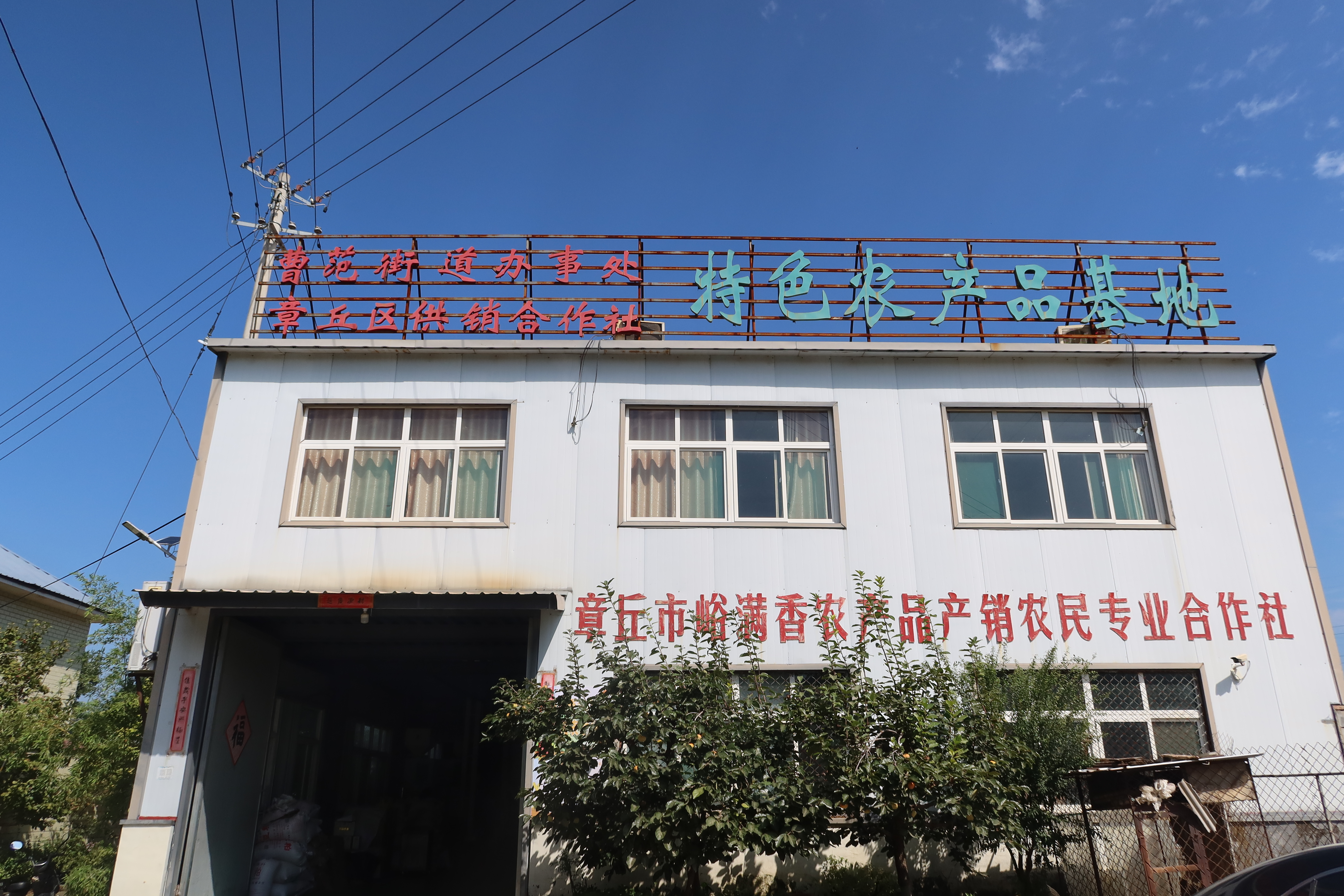 融媒·画像丨人到中年，她还是那个“小米姑娘”