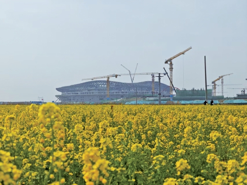 全国23个省（自治区、直辖市）选手踊跃报名 2025济南起步区半程马拉松与您相约金秋