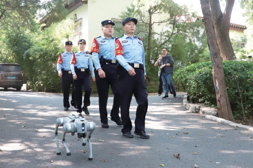 “双节”期间历下公安全警动员全面启动护航模式 安保与服务并重传递“泉城温度”