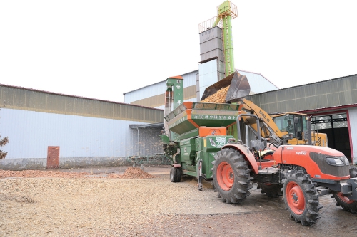 风雨中的金穗保卫战