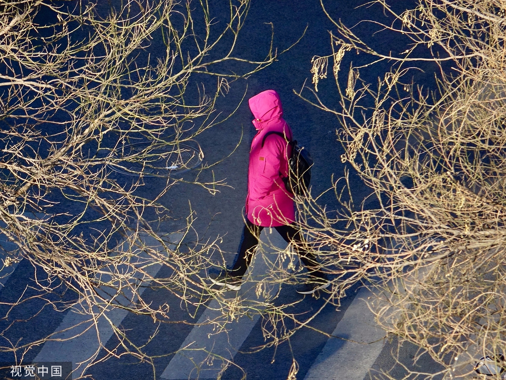 受冷空气影响，北方气温持续偏低 未来几天济南最低气温维持个位数