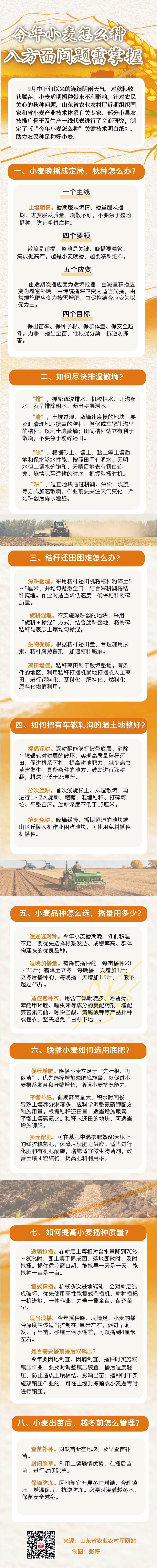 今年山东小麦怎么种？八方面问题要掌握
