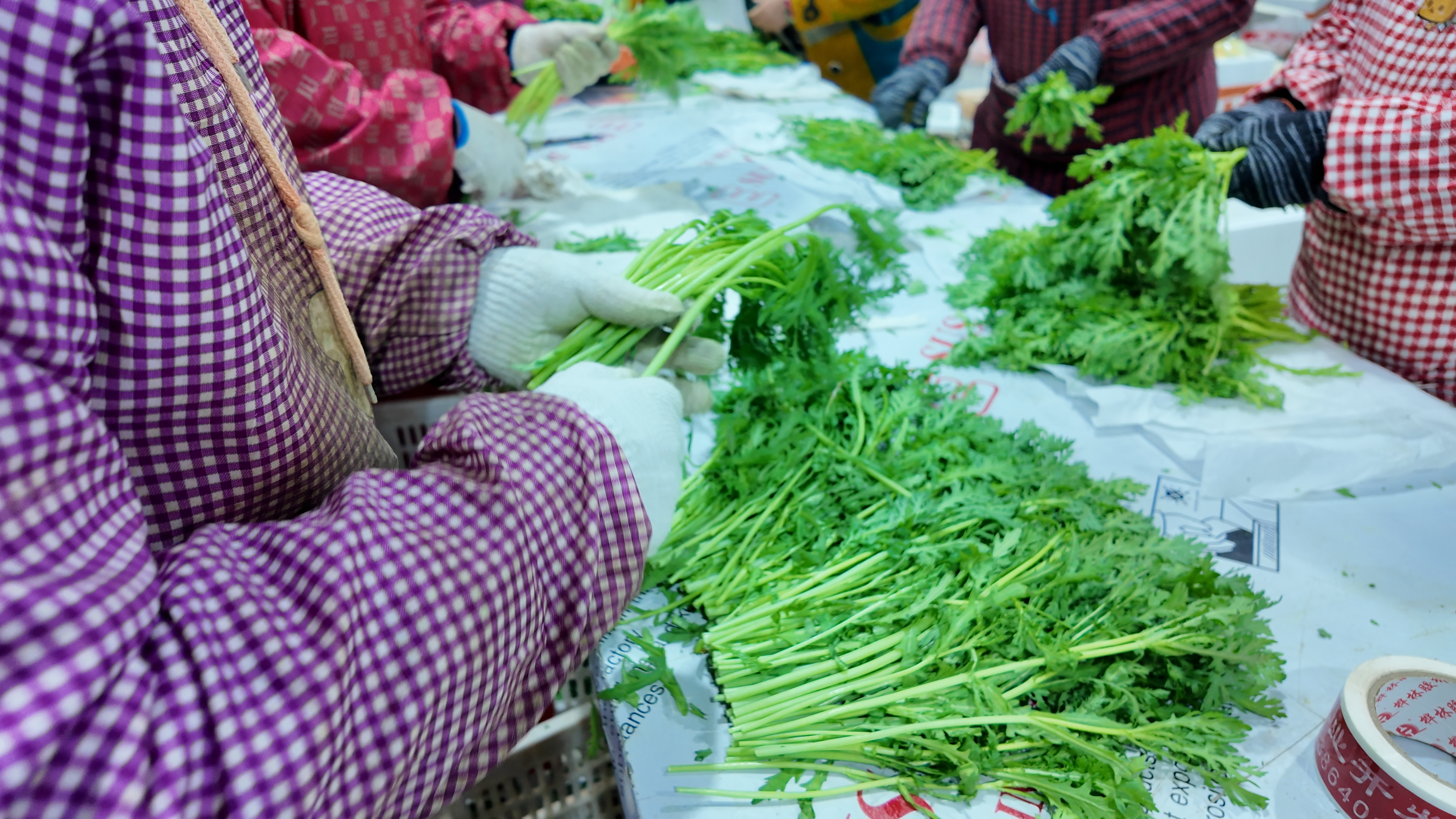 融媒·见证丨盘活多重优势，从“靠天吃饭”到“靠智生财”——乡村产业玩“混搭”