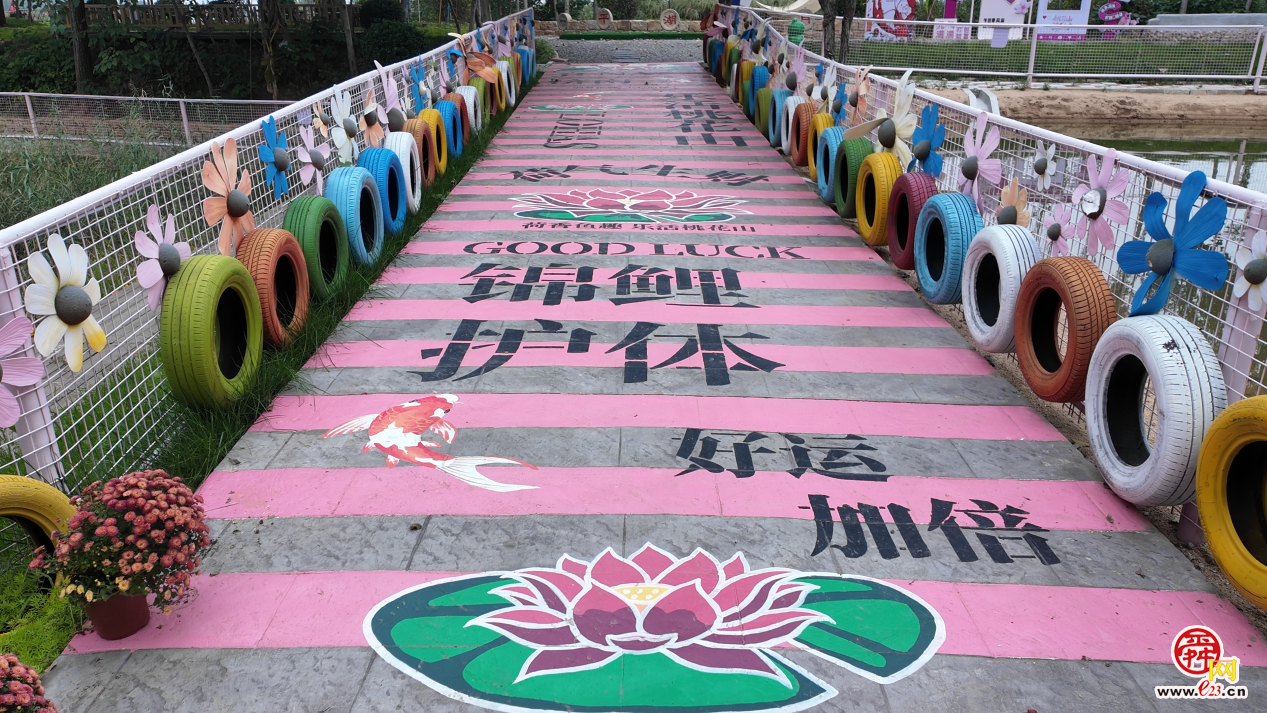 融媒·见证丨盘活多重优势，从“靠天吃饭”到“靠智生财”——乡村产业玩“混搭”