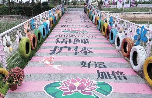 融媒·见证丨盘活多重优势，从“靠天吃饭”到“靠智生财”——乡村产业玩“混搭”