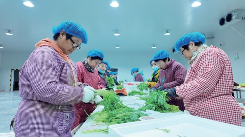 融媒·见证丨盘活多重优势，从“靠天吃饭”到“靠智生财”——乡村产业玩“混搭”