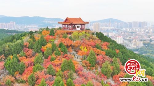 红叶燃遍英雄山