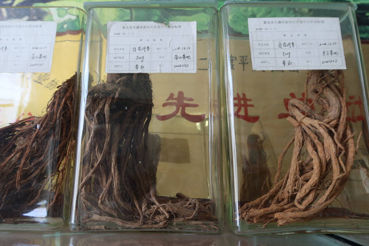 融媒·画像丨一位农民与“一株白花”的循证之旅——驯“仙草”