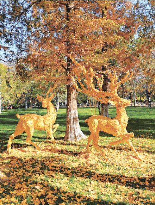 童话照进现实，五龙潭水杉林现“银杏鹿”