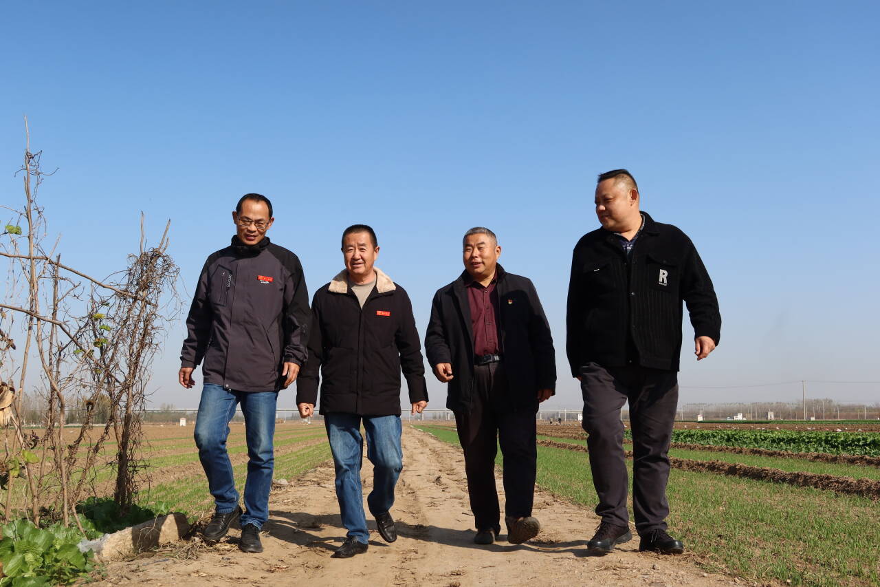 融媒·先锋丨一场在半公顷田地里进行的“增收试验”——第一书记的“田间答卷”