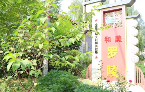 强产业 优生态 善治理章丘区绘好乡村振兴答卷