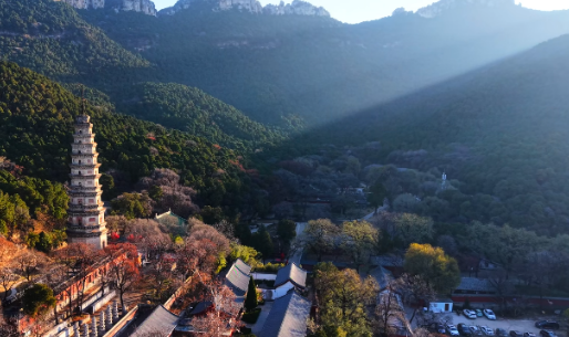 一年四季 泉在济南｜晨光拂过初冬的灵岩寺