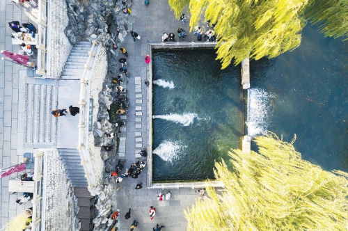 济南把最美的初冬，打包进了护城河！