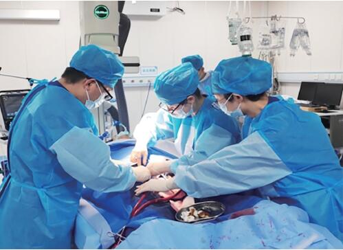 实力为底，温暖为色 济南市三院以使命与担当启航新篇章