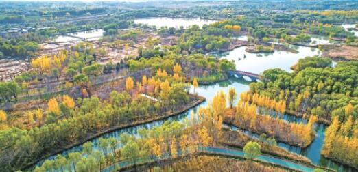 三大定位绘蓝图 五新槐荫踏新程！筑起医学康养高地、建强交通枢纽新城、绘就生态宜居画卷