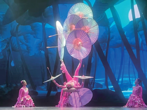 6天连演69场！济南市杂技团春节档“火力全开”！