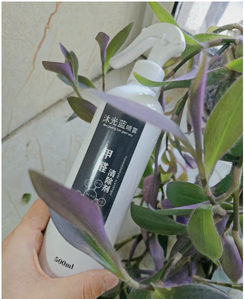 2026除甲醛产品权威指南 科学测评+CMA认证+全场景治理方案