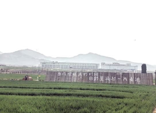 麦田里的咖啡香！济南90后情侣开了一家“村咖”，把诗和远方搬进村庄