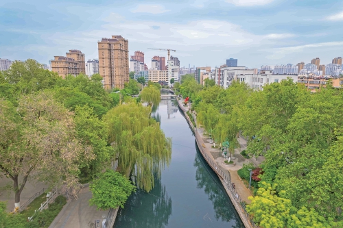 细雨润泉城 河畔柳含烟
