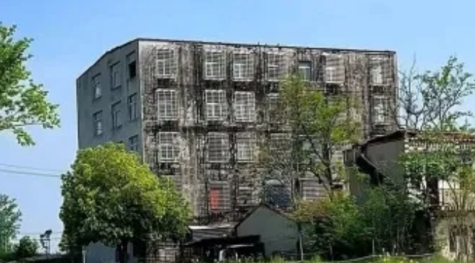 村支书被举报违建1500平米楼房，官方公布调查处理结果