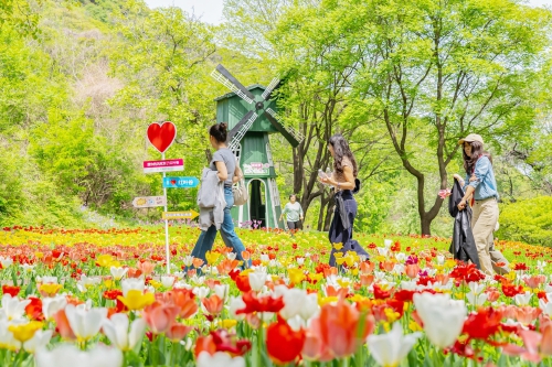 亮相央视获点赞，济南红叶谷邀您打卡春日花海